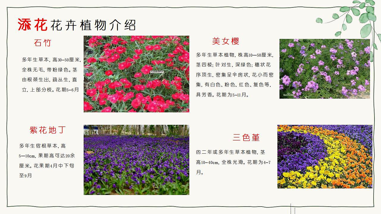 养老院绿化提升