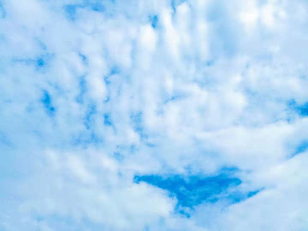 手机摄影+从邵阳到深圳一直到新疆的摄影记录着一切