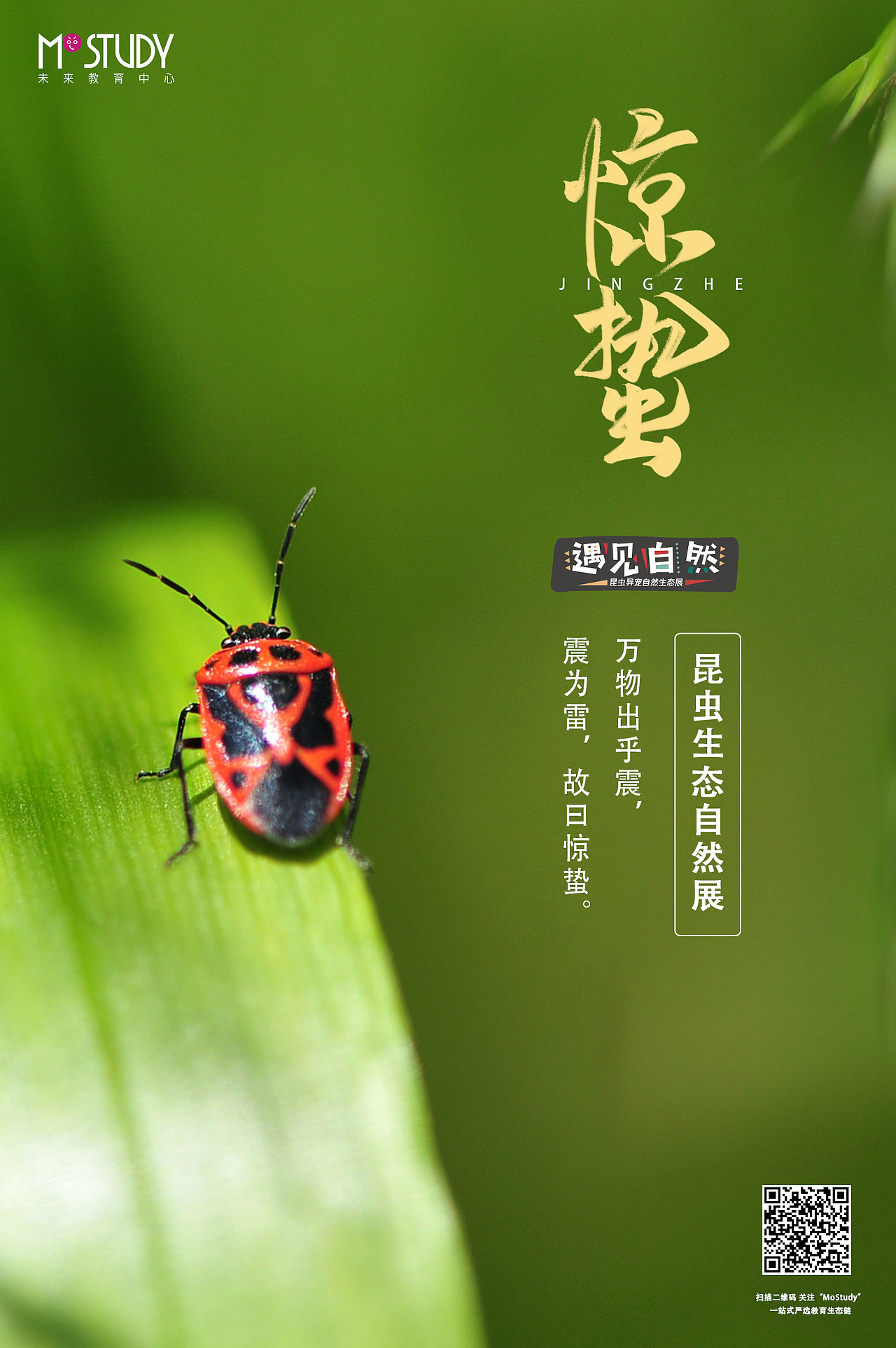 节气海报（图ZMTY2NDY1NDAw） - 海报 - 站酷设计师爱画画的野猴子原创素材 - 站酷ZCOOL