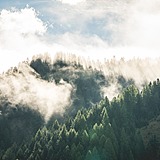 火星小螃蟹的头像