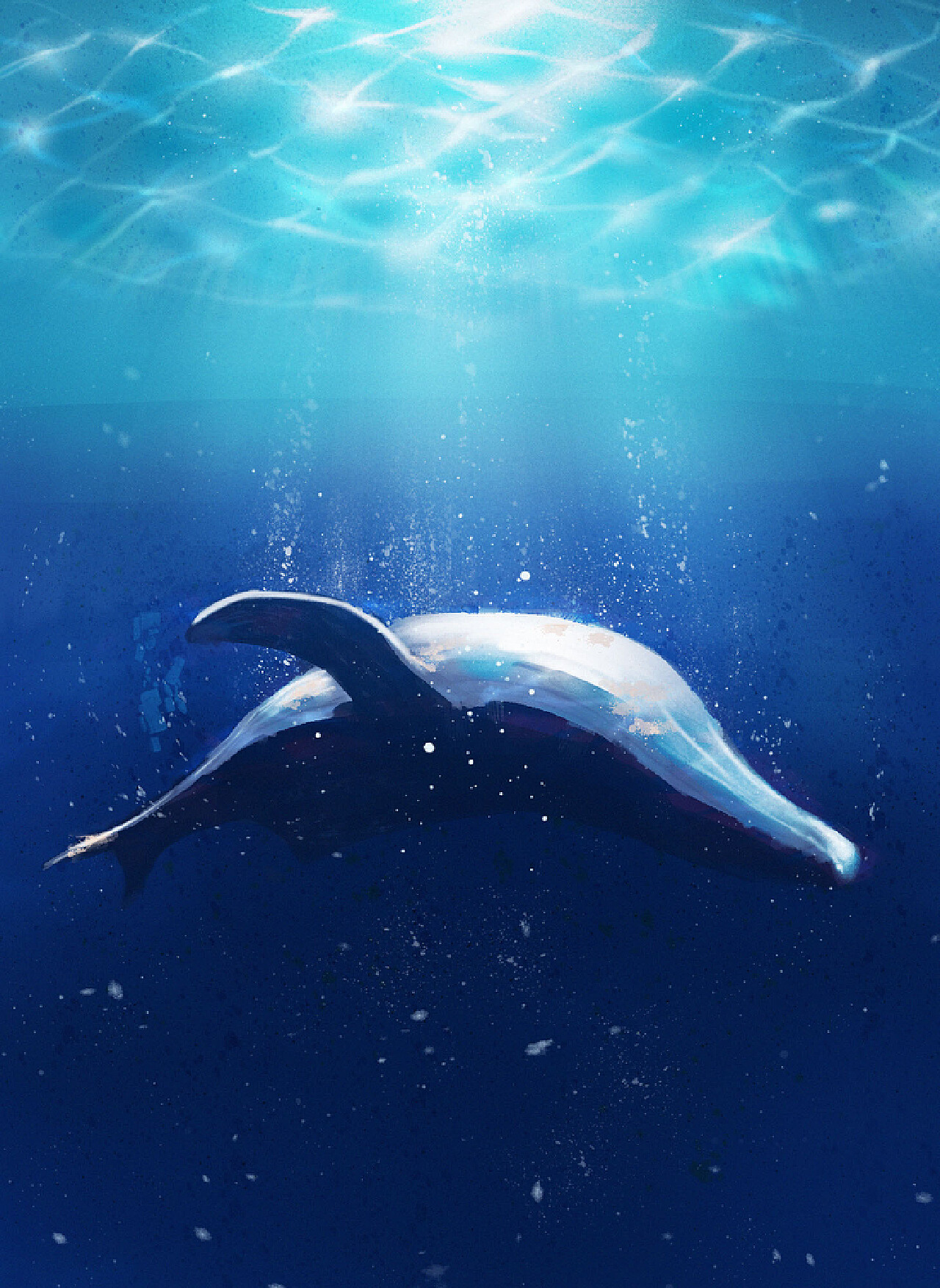 知识科普|奇异的鲸落现象-南海海洋资源利用国家重点实验室