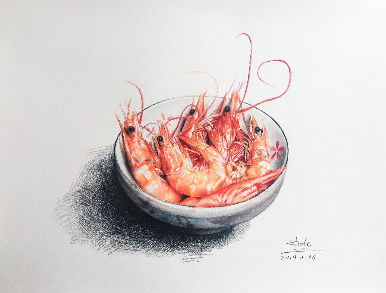 彩铅绘画《虾》
