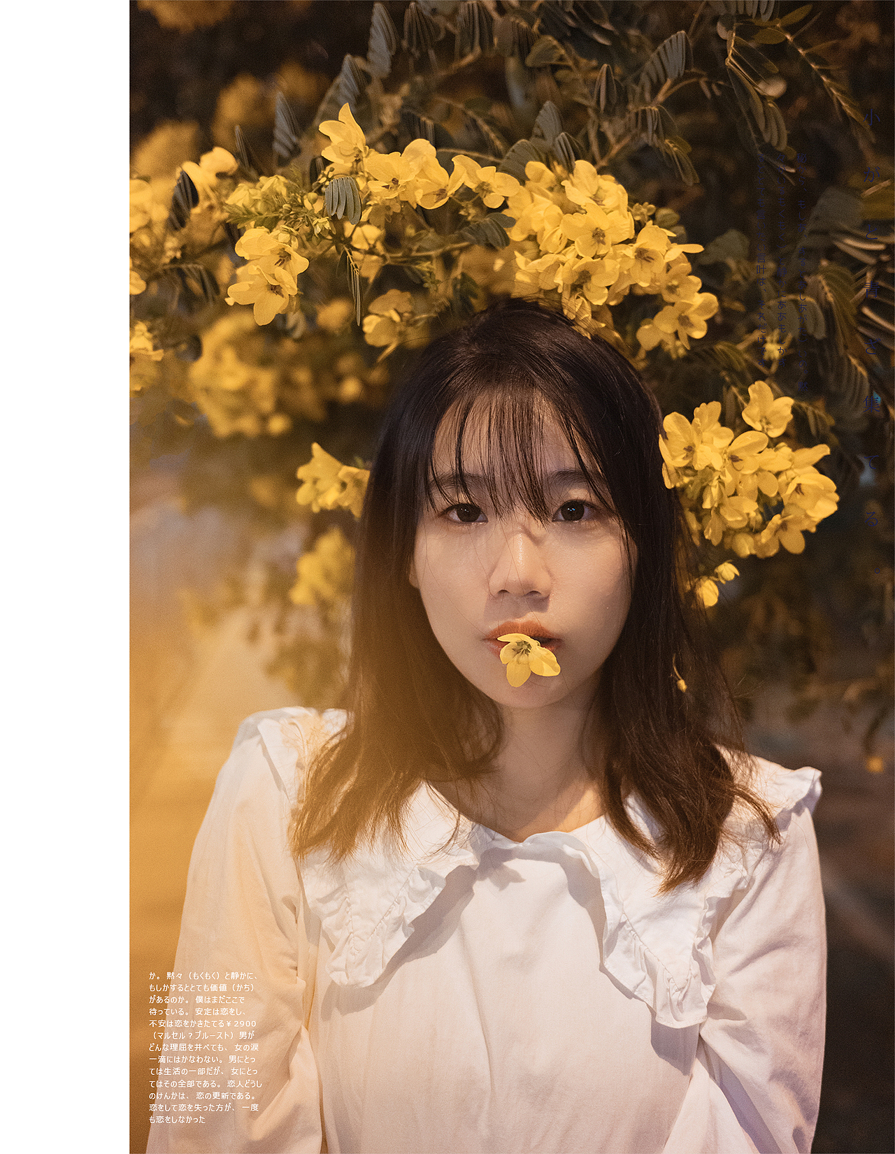 循蝴蝶之踪可抵春天🦋