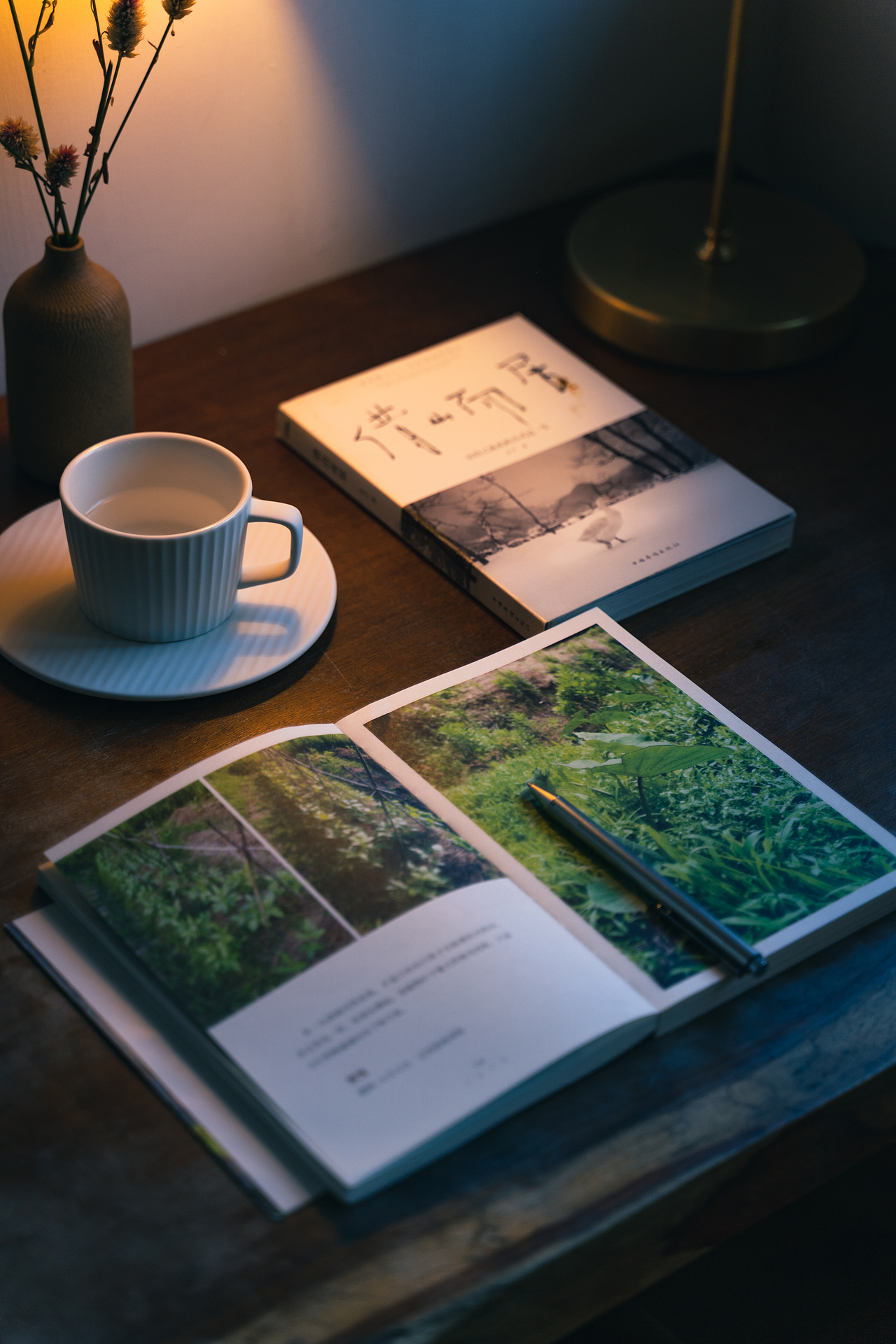 民宿摄影|桐庐芦茨民宿|空间摄影