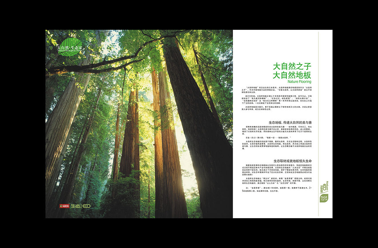 2009年大自然地板（生态地板）形象产品画册（图ZMTY3MDE4MA==） - 其他平面 - 站酷设计师xiaoli89原创素材 - 站酷ZCOOL