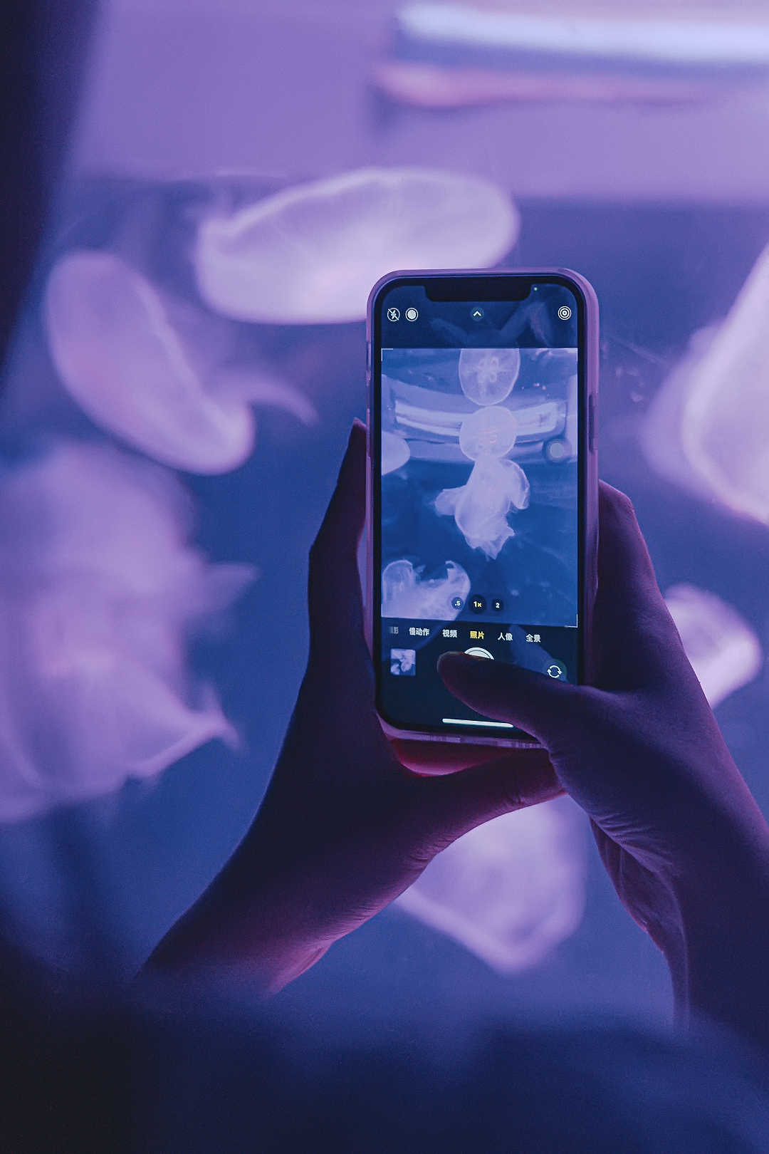 「海底蓝洞」•海洋奇梦馆（图ZMjY2MDc2NDI4） - 人像摄影 - 站酷设计师寶兒boa原创素材 - 站酷ZCOOL