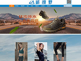 新視野企業(yè)站