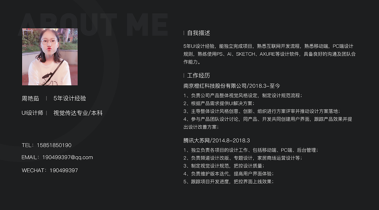 个人简历及作品集