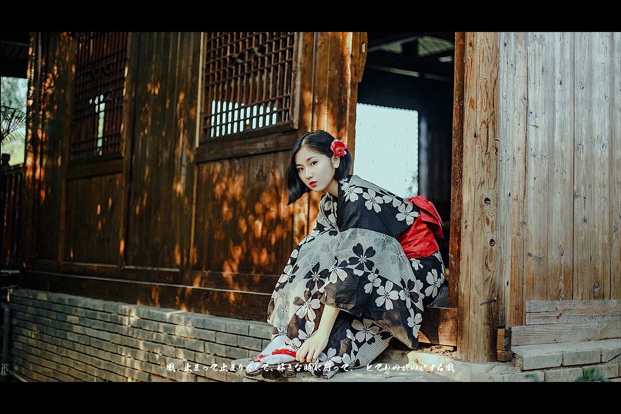 【 秋之白华 】