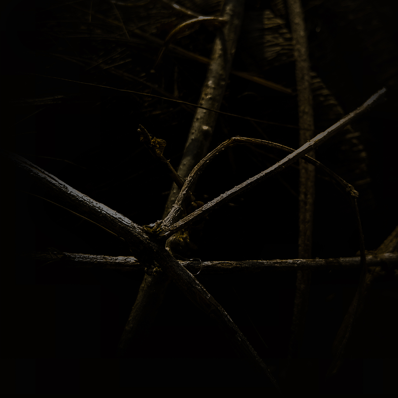 被忽视的自然美（图ZMTI0OTU3NDYw） - 风光摄影 - 站酷设计师Jauver原创素材 - 站酷ZCOOL