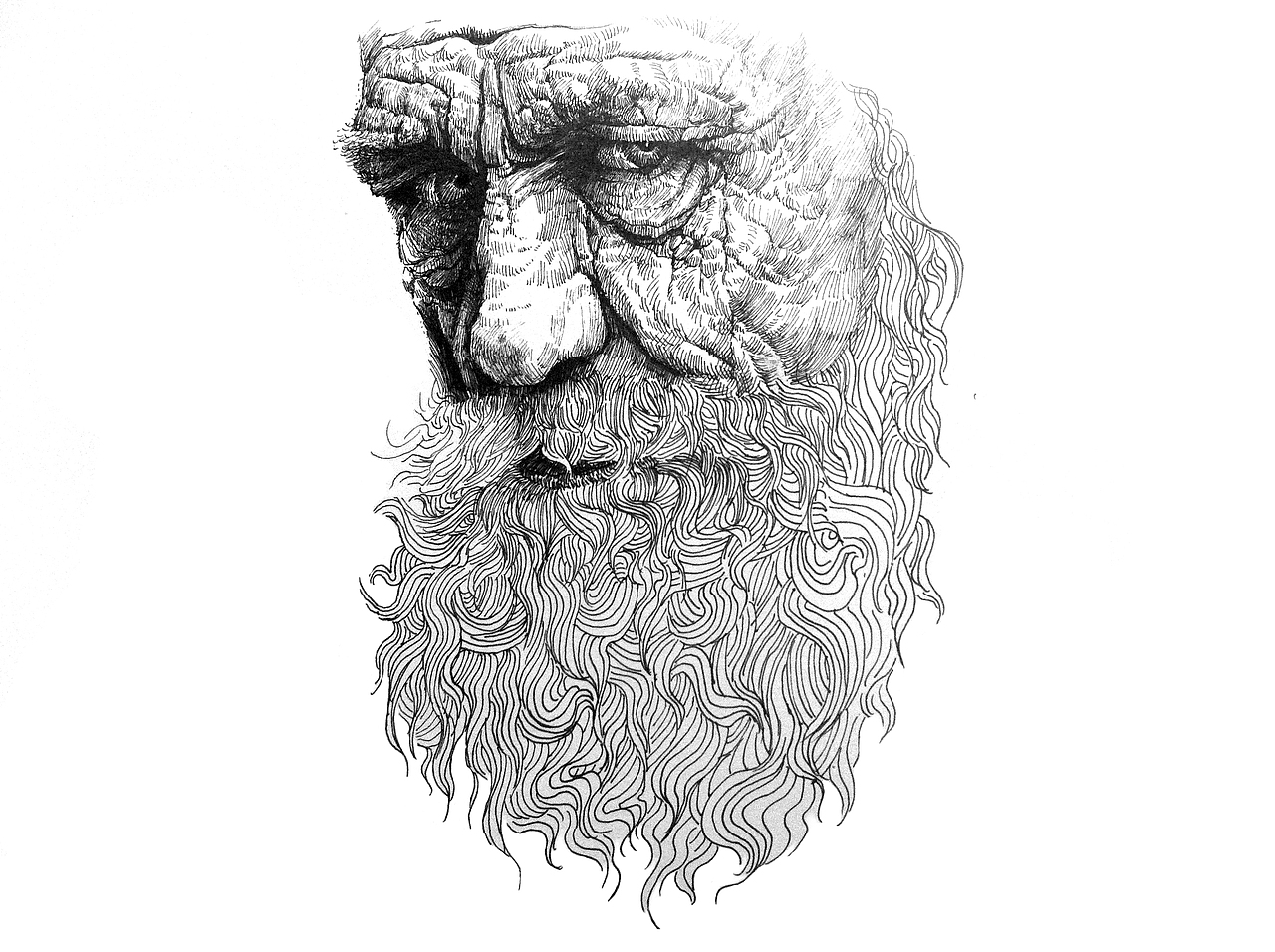 钢笔画（图ZMTU4MDkxNjA=） - 绘画 - 站酷设计师付浩原创素材 - 站酷ZCOOL