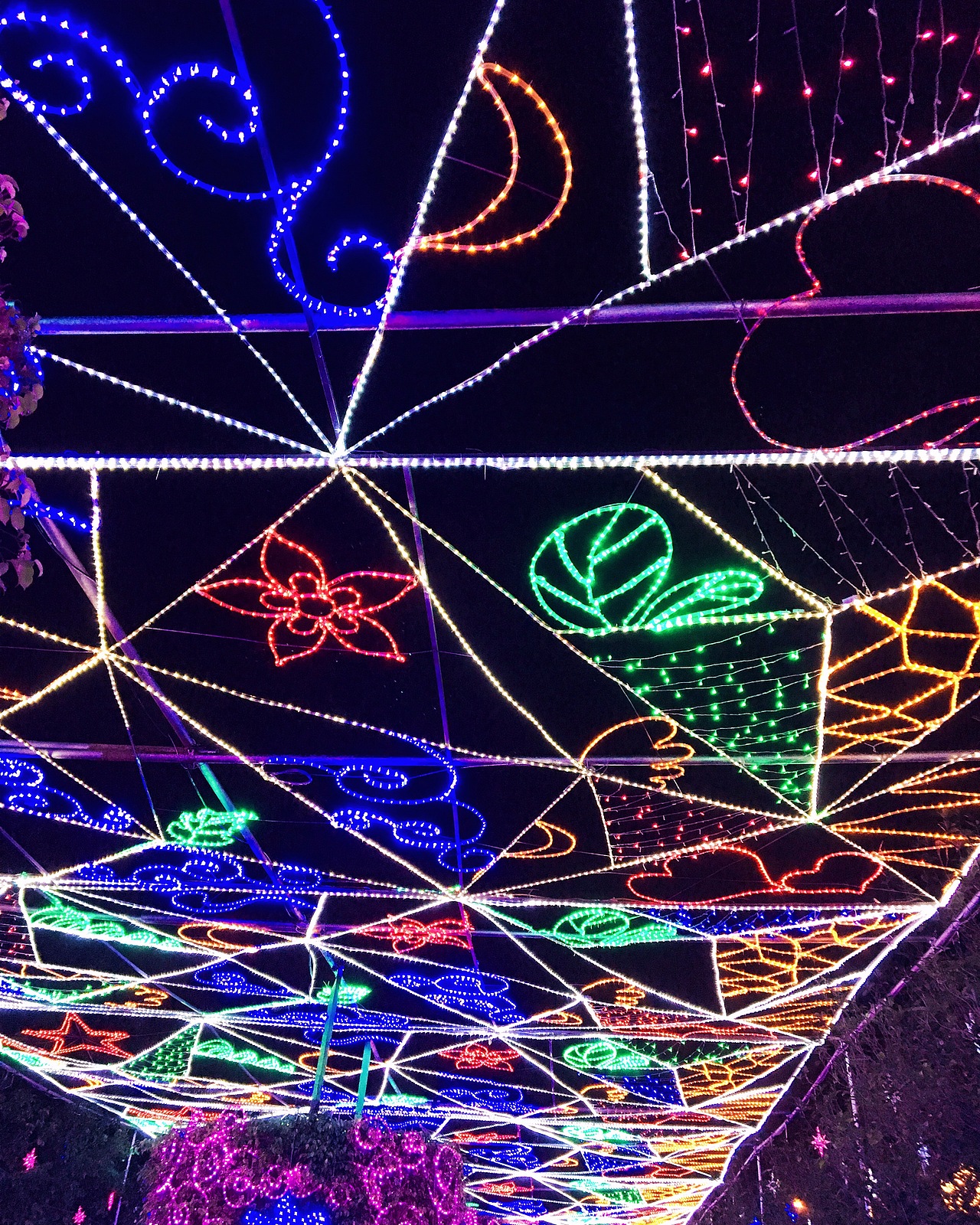 2017中山迎春花灯会【手机摄影】