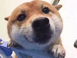 一個政府工作人員想做游戲了