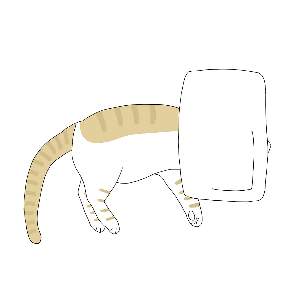 一只喜欢站肩膀上的猫（图ZMjY0MTM3NjM2） - 创作习作 - 站酷设计师小君June原创素材 - 站酷ZCOOL