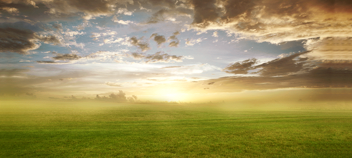 云尚电商7期学生作品展示（图ZNzk0MTgxMjg=） - 电商 - 站酷设计师云尚设区原创素材 - 站酷ZCOOL