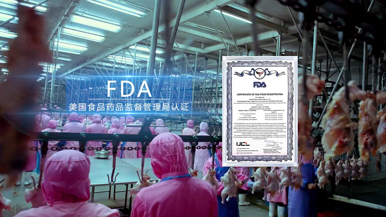 宠物产品视频 ZERO BARON宠物粮食宣传片