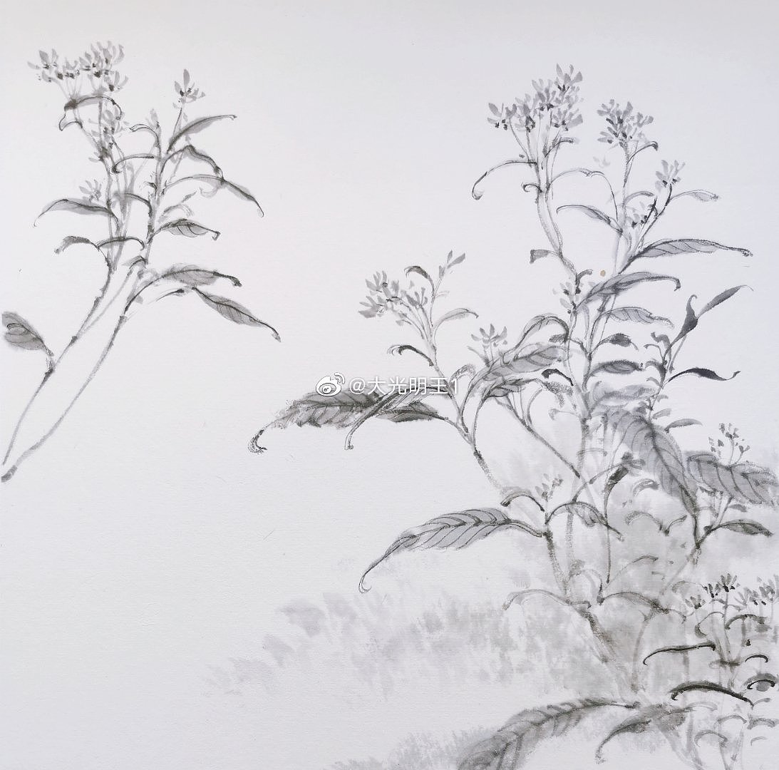 水墨写生