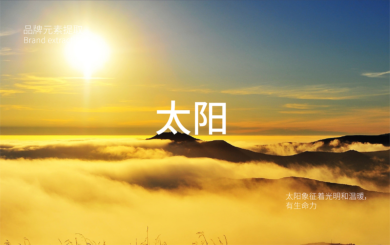 天宇LOGO设计（图ZMTkwMTc5NjUy） - 品牌 - 站酷设计师天宇设计师原创素材 - 站酷ZCOOL