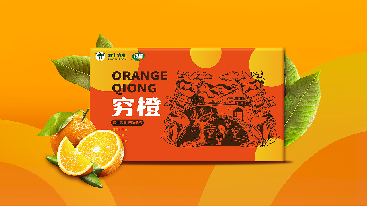 ()橙子包装