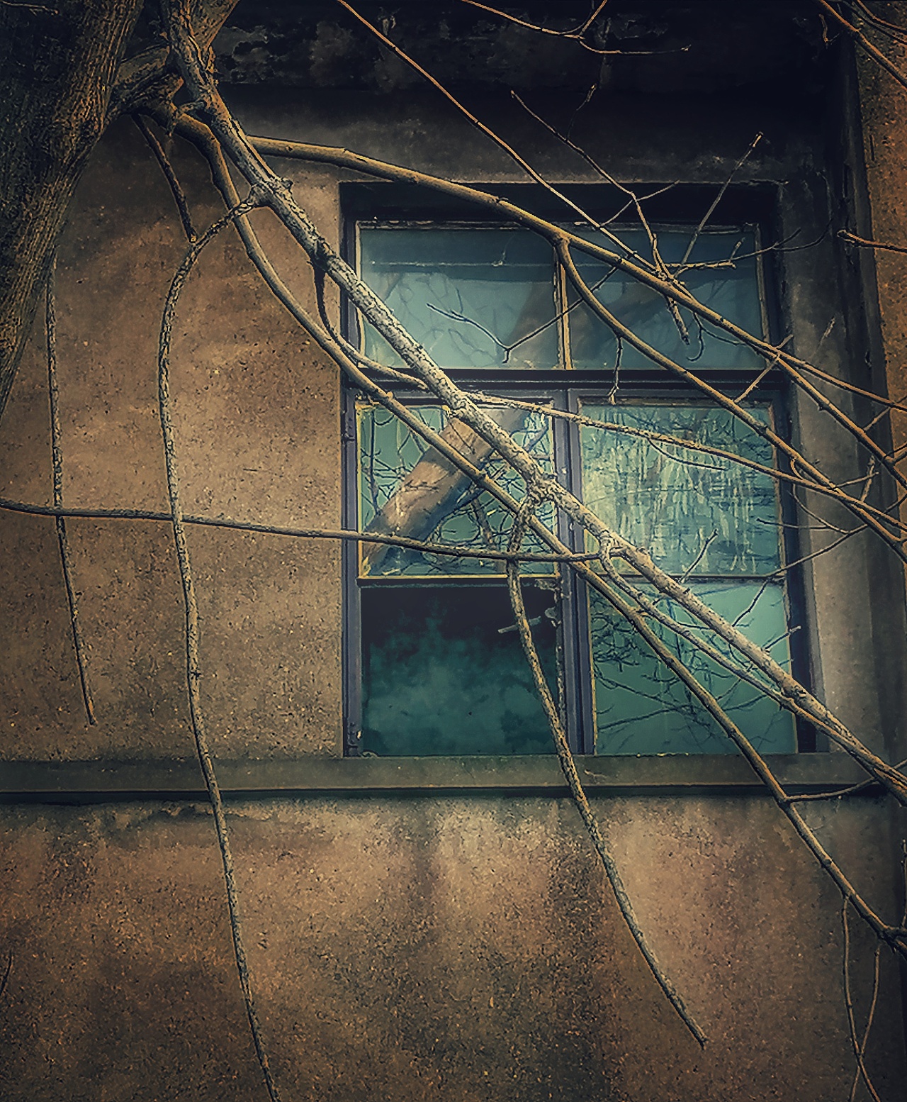 窗户|摄影|环境/建筑摄影|庆元夕 - 原创作品 - 站酷 (zcool)