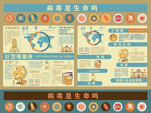 18-2 李金芝 11803269 信息可视化