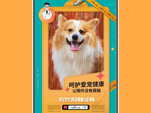 宠物药品日常首页