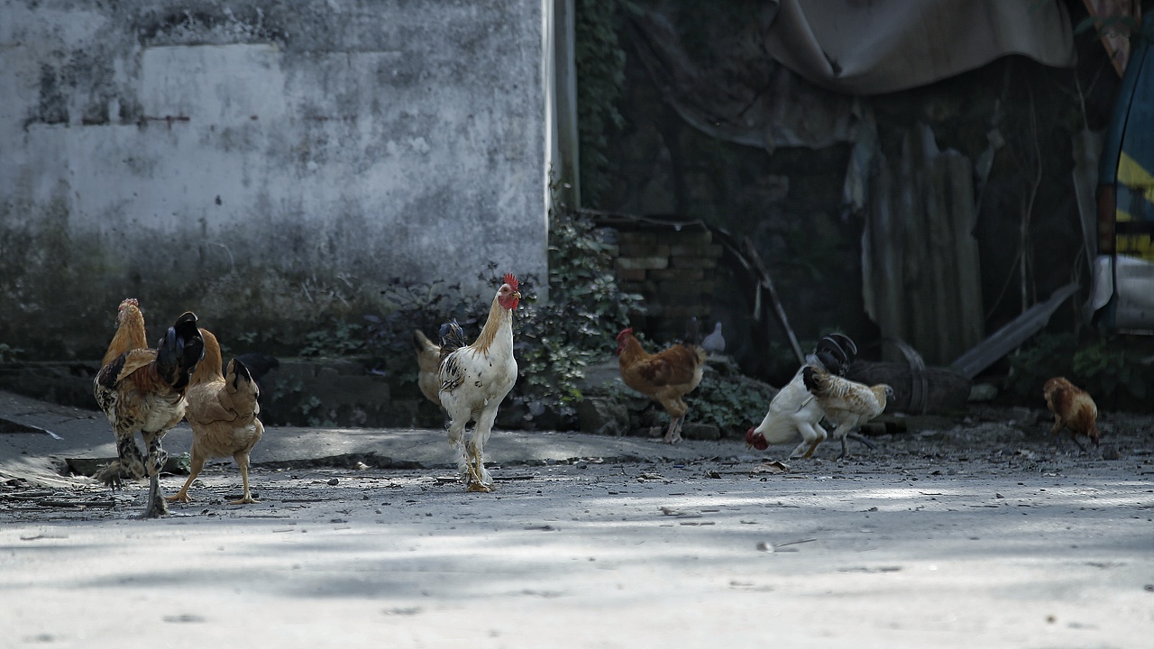行摄湖北襄阳-卫东机械厂-李焕英拍摄地