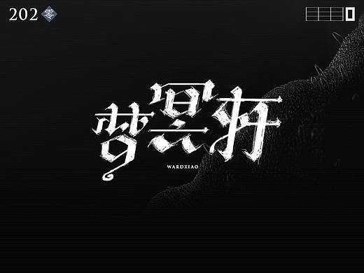 20年回顾