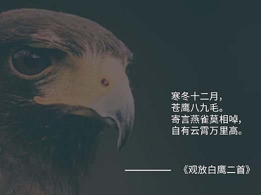 鹿鹰简洁LOGO设计提案