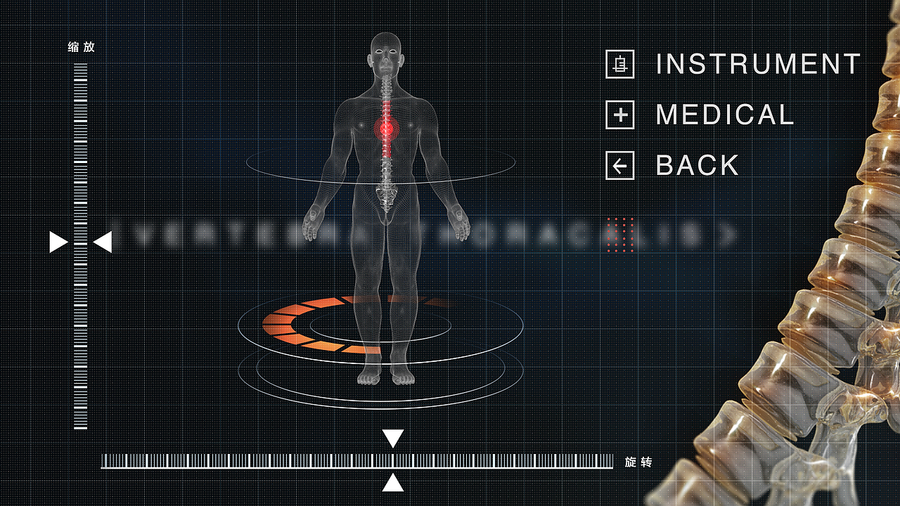 骨骼（图ZMTMxNTQ0Mzky） - 人物/生物 - 站酷设计师Anding原创素材 - 站酷ZCOOL