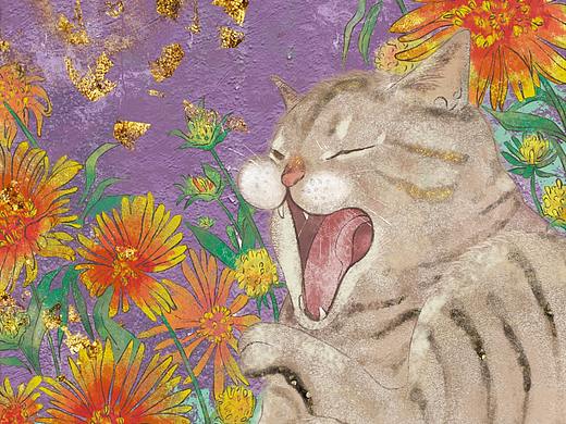 我的猫，老大喵喵喵