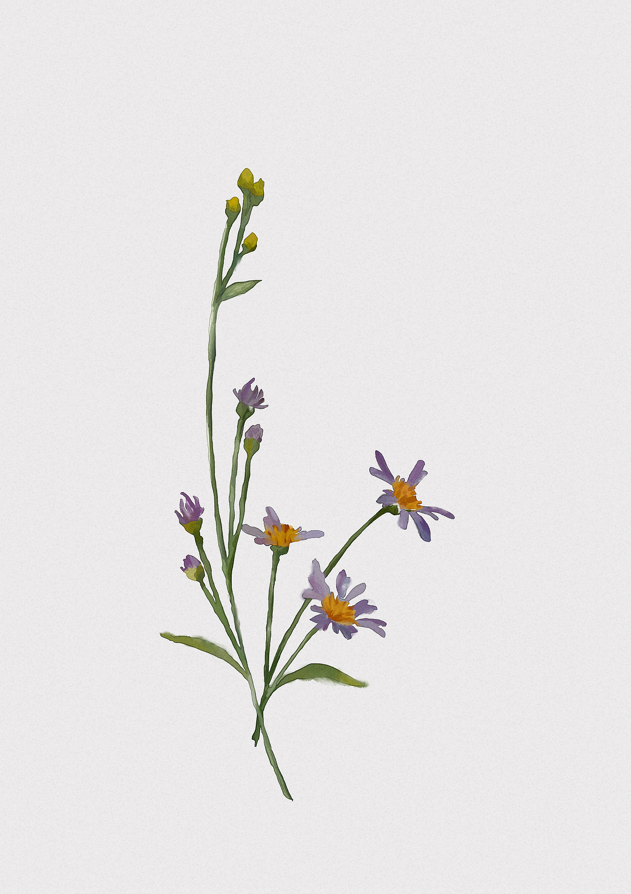 水彩临摹（图ZMjAxMzg5NTY0） - 绘本 - 站酷设计师库库里桑原创素材 - 站酷ZCOOL