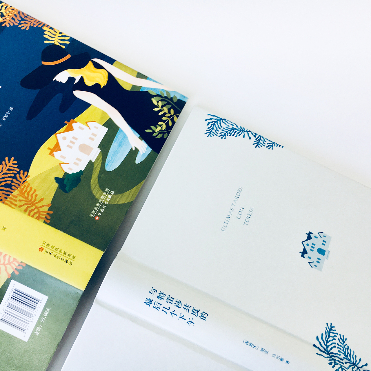 书籍装帧设计 | 封面插画 | 胡安·马尔塞作品（图ZMjE0MDI4NzMy） - 书籍/画册 - 站酷设计师Linzi_原创素材 - 站酷ZCOOL