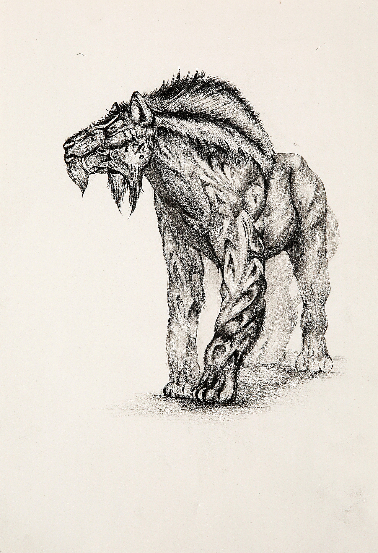 other 铅笔 彩笔 文具 拍摄