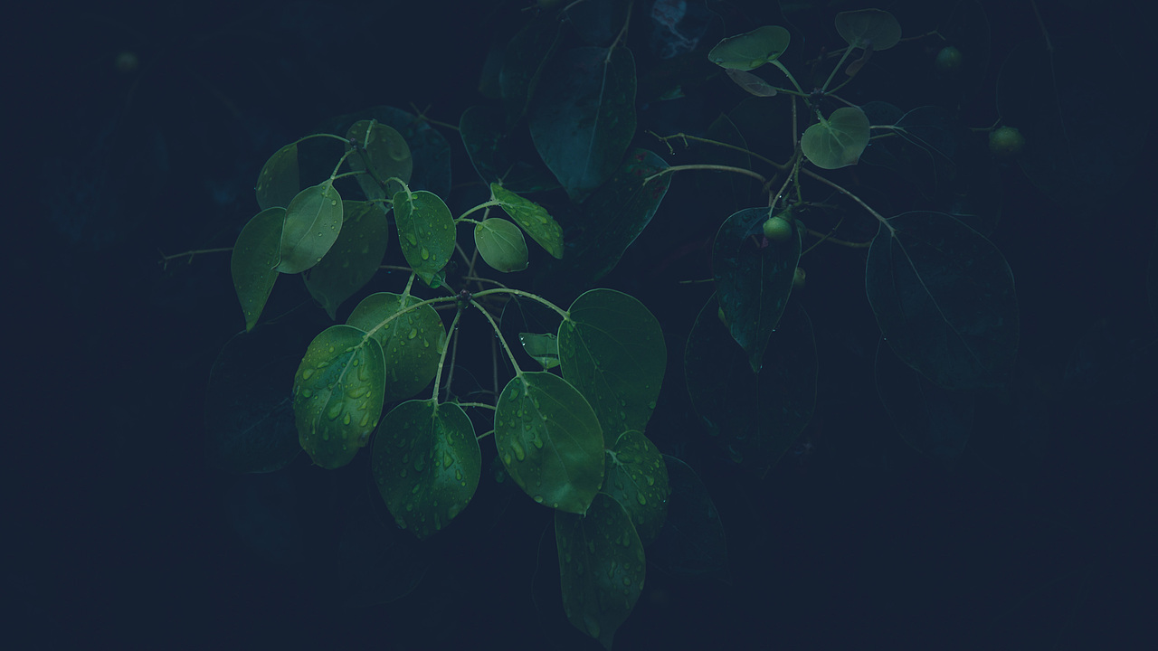 自己拍壁纸系列01（图ZMjUxNTQ0Njg0） - 风光摄影 - 站酷设计师狠手辣原创素材 - 站酷ZCOOL