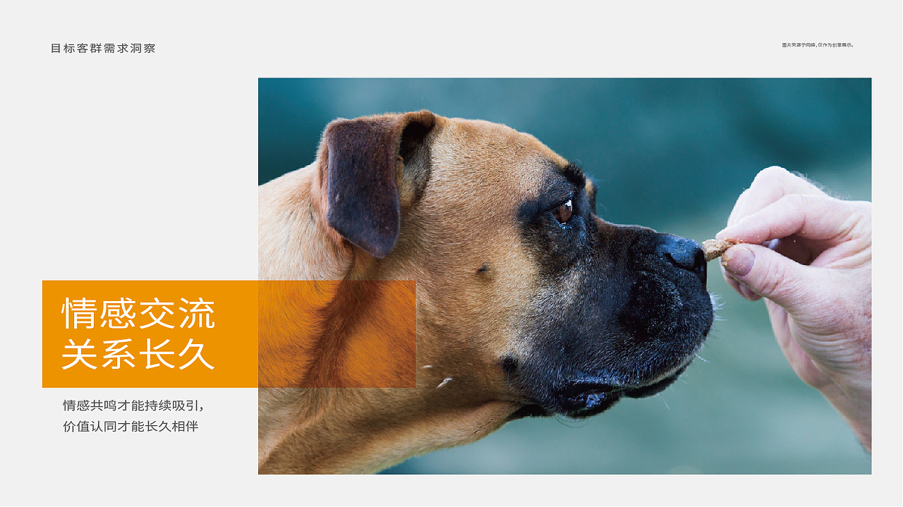 晨狮原创设计丨安贝(安诺品牌)猫粮狗粮系列包装设计