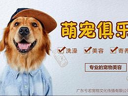 宠物店banner