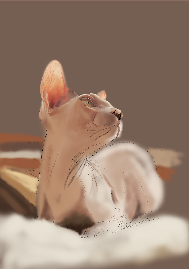 板绘--猫（图ZMTA1NzM5MzI4） - 创作习作 - 站酷设计师奶昔君原创素材 - 站酷ZCOOL