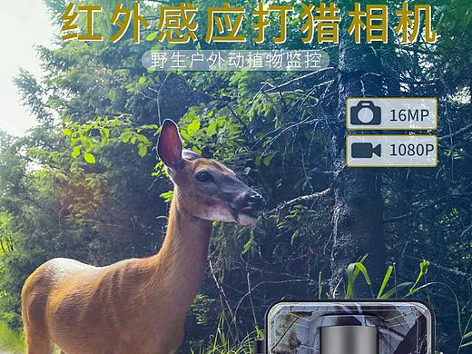 狩猎相机详情页