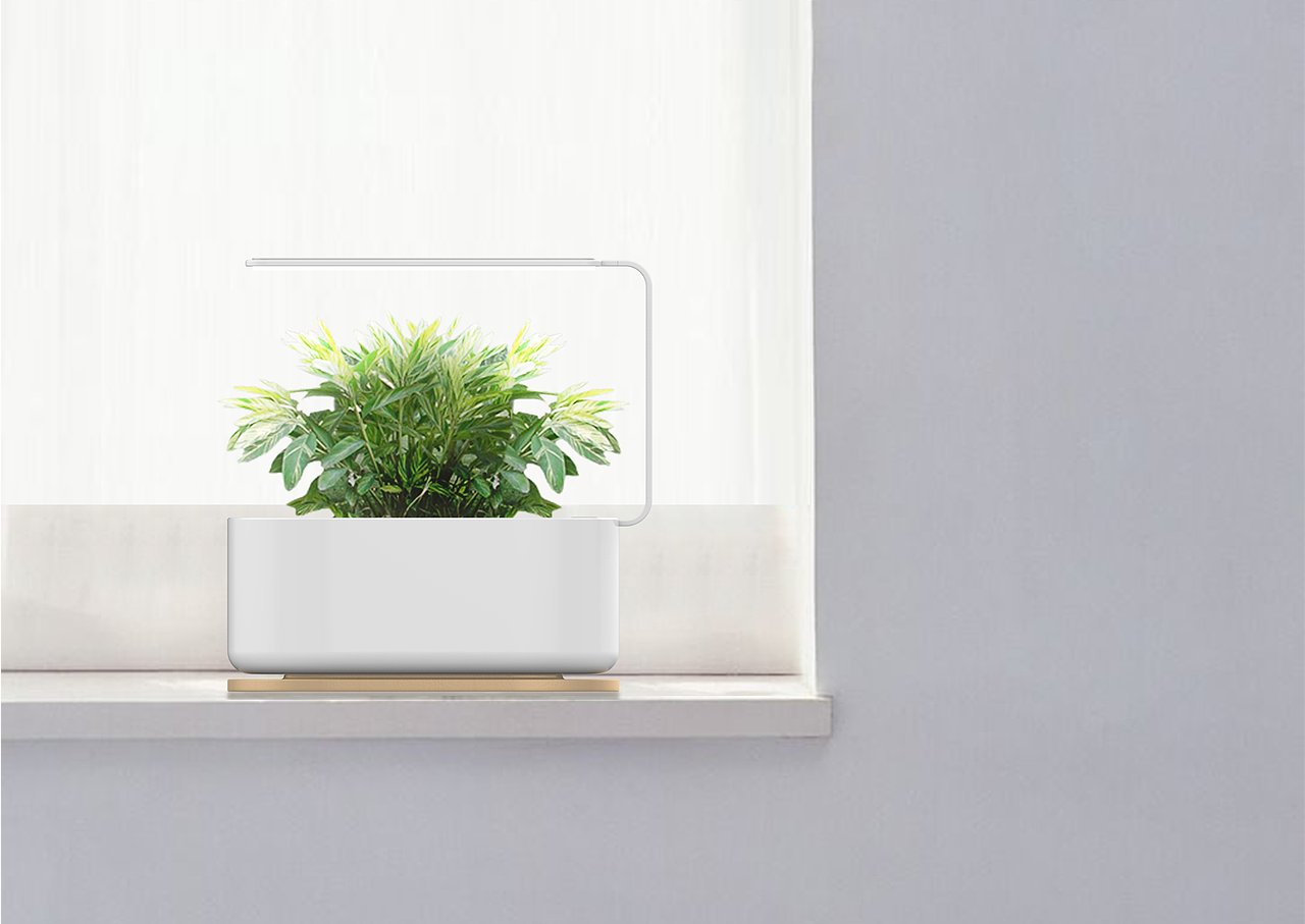 工业设计-懒人室内种植-植去