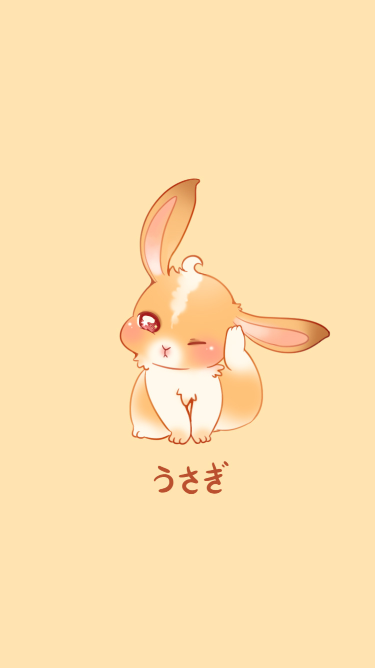 我家萌宠(团团&兔兔)