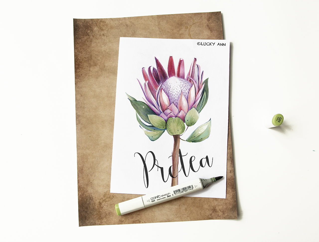 花绘练习（图ZMTE4NzY3NjU2） - 艺术插画 - 站酷设计师莫安安原创素材 - 站酷ZCOOL