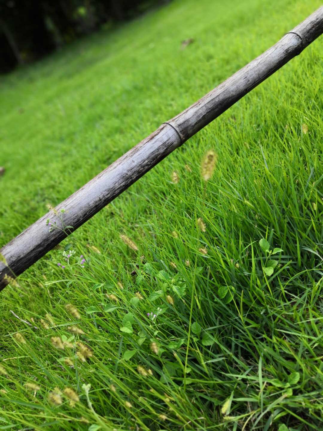 插上翅膀的三月风的个人主页（封面预览） - 主页封面设置 - 站酷设计师插上翅膀的三月风原创素材 - 站酷ZCOOL