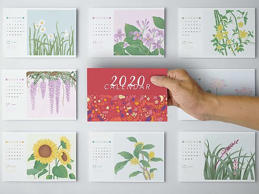 2020植物插画日历 小清新植物插画系列
