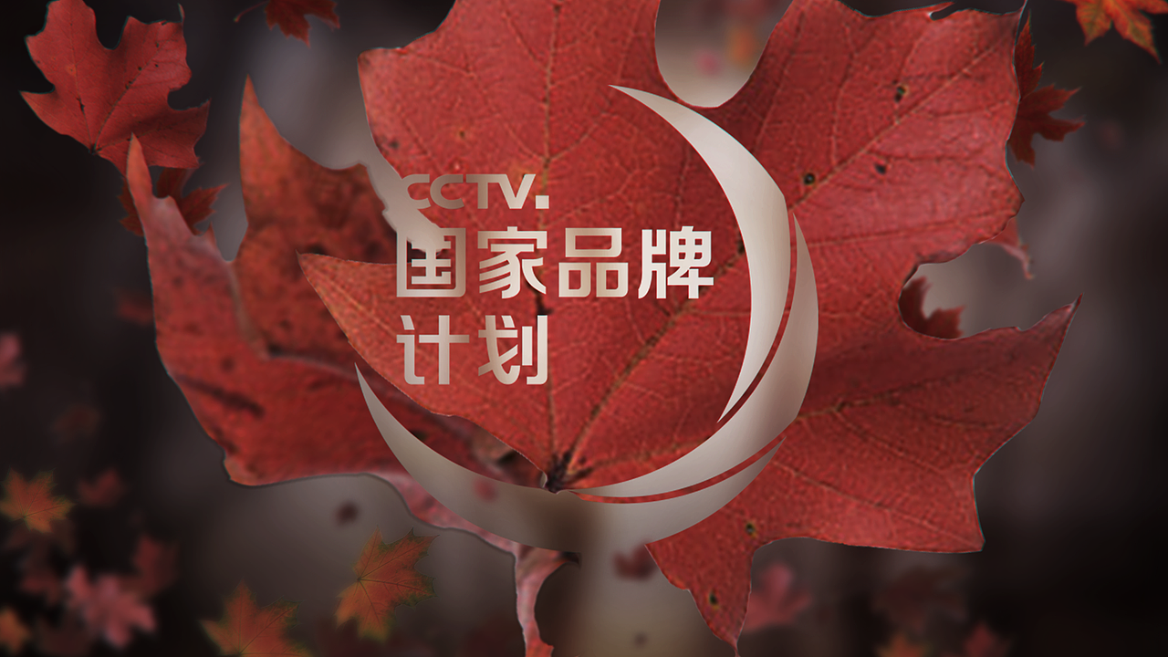 国家品牌栏包分镜设定（图ZMTU2MzM0MDU2） - 设定/分镜 - 站酷设计师丹顶洞人原创素材 - 站酷ZCOOL