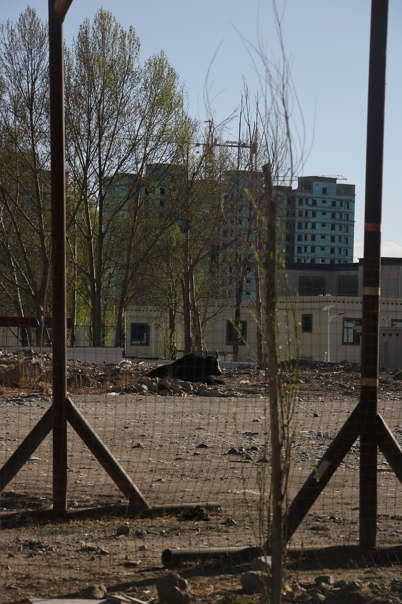 扫街日记（图ZMjk1NzY3ODI0） - 人文/纪实摄影 - 站酷设计师见习忍者原创素材 - 站酷ZCOOL