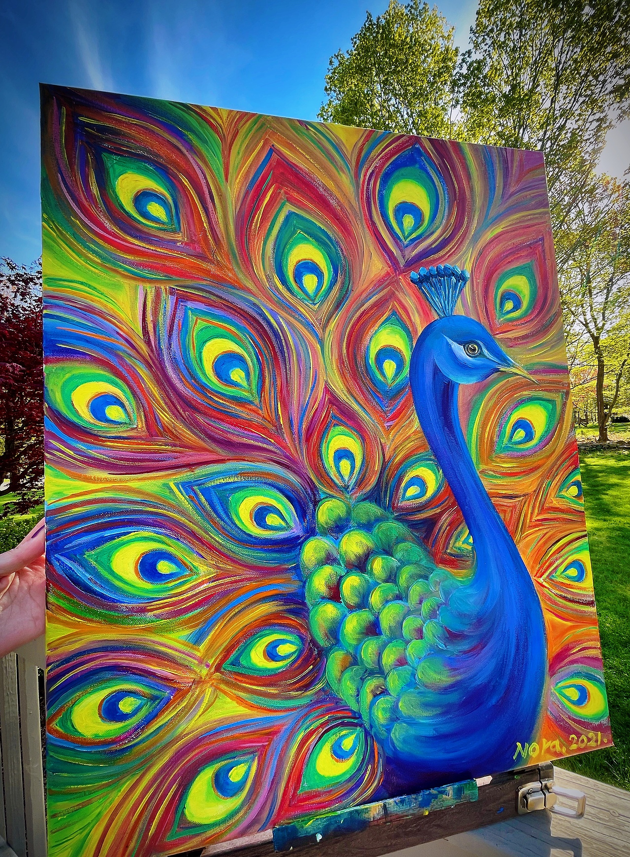 油画#热爱生活的孔雀_nora诺-站酷zcool