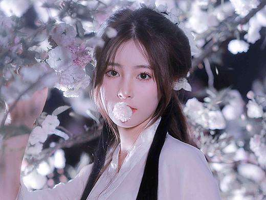 夜樱