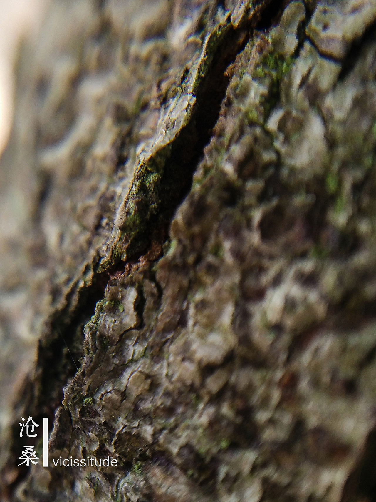 微世界——手机摄影【第一期】（图ZNTk1NzIyMjA=） - 修图/后期 - 站酷设计师tctong原创素材 - 站酷ZCOOL