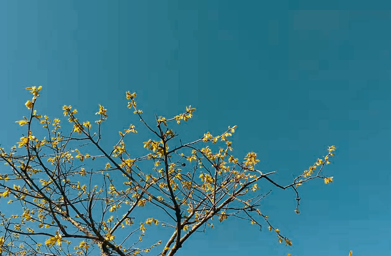 滤镜（图ZMTQ5NzQ1MzA0） - 风光摄影 - 站酷设计师王大毛毛原创素材 - 站酷ZCOOL